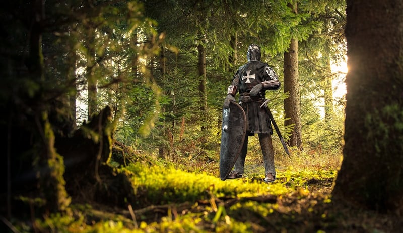 Medieval Fantasy Warrior